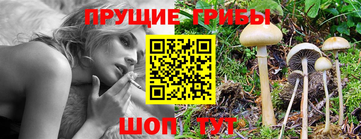 Галлюциногенные грибы MAGIC MUSHROOMS Кирово-Чепецк